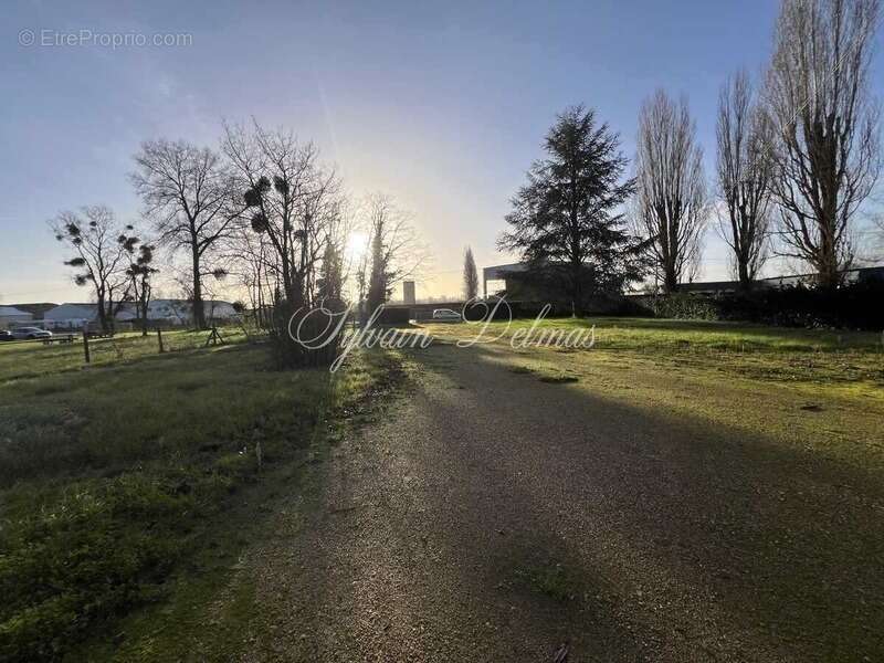 Commerce à NAZELLES-NEGRON
