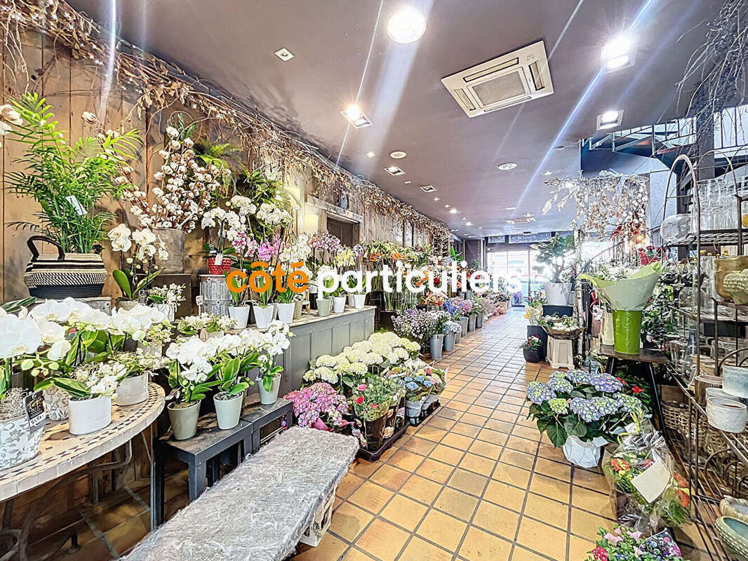 Commerce à LA CHAPELLE-D&#039;ARMENTIERES