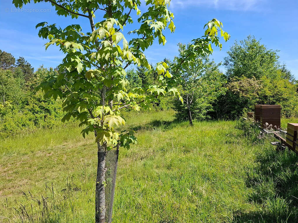 Autre à BADONVILLIERS-GERAUVILLIERS
