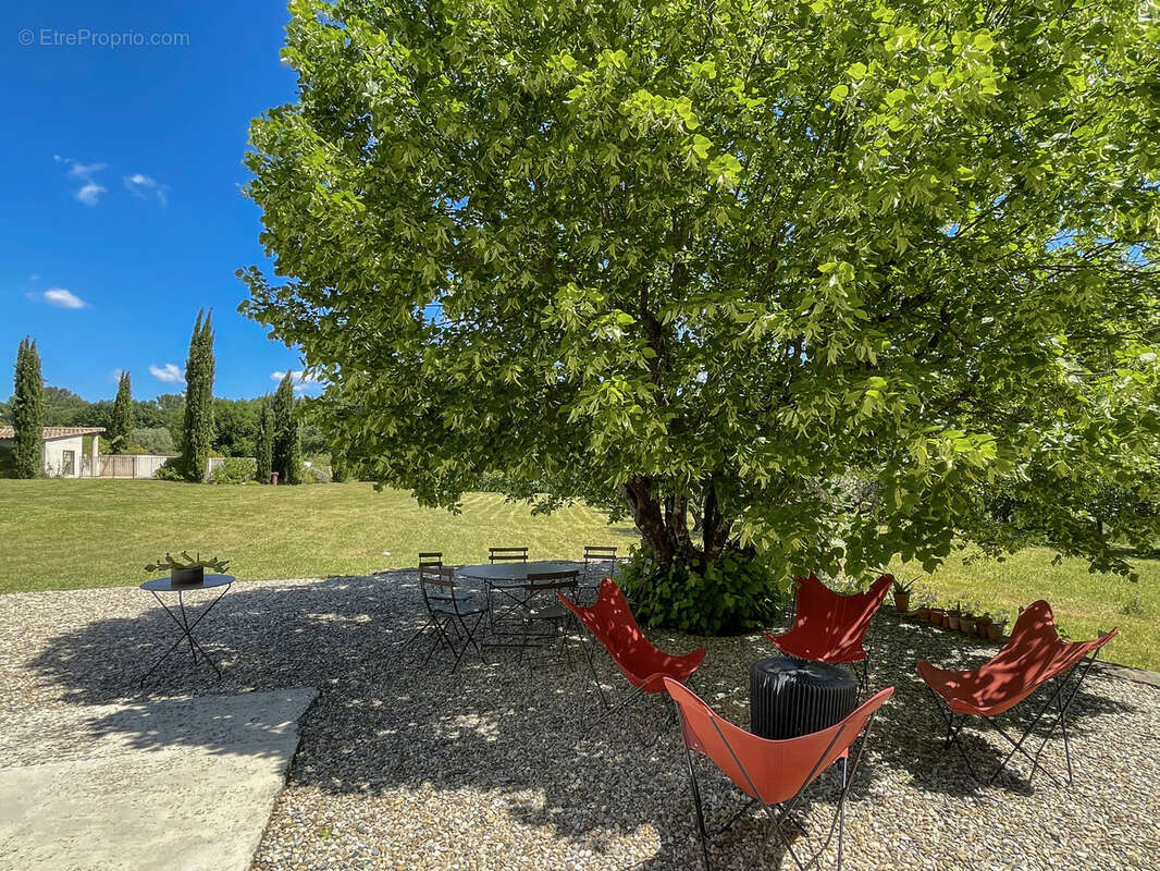 Vaison la romaine, propriete d'exception, terrain 1.7ha, piscine, vue - photo 6