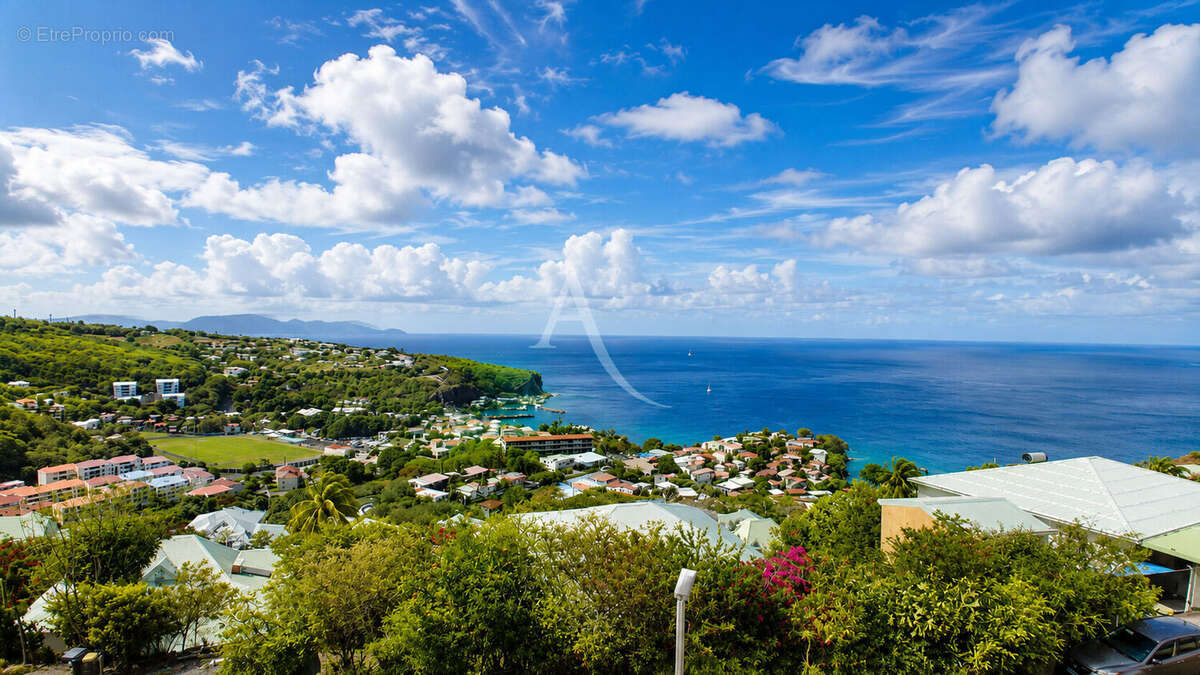 Entre ciel, jardin et mer des Caraïbes. - photo 12