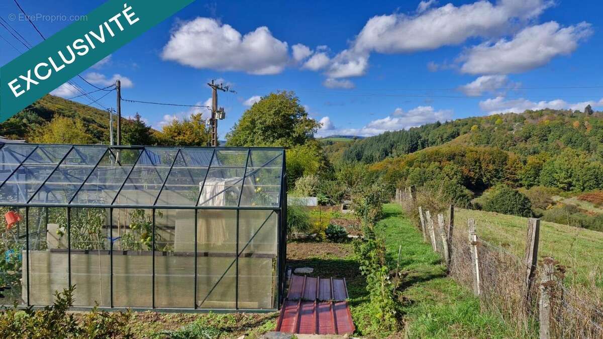 Photo 6 - Maison à LA SALVETAT-SUR-AGOUT