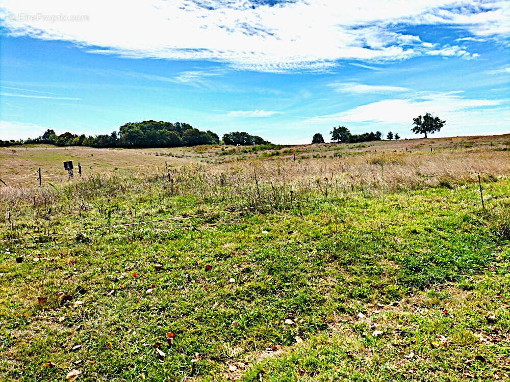 Terrain à MARGOUET-MEYMES