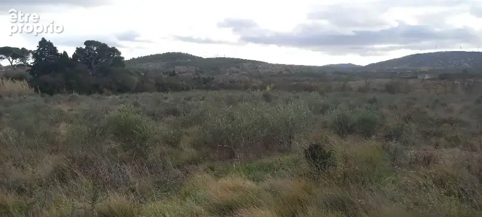 Terrain à SAINT-LAURENT-DE-LA-CABRERISSE