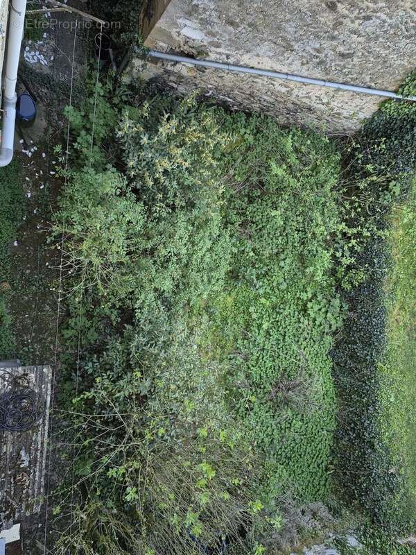 20260409101346 - Commerce à NONTRON