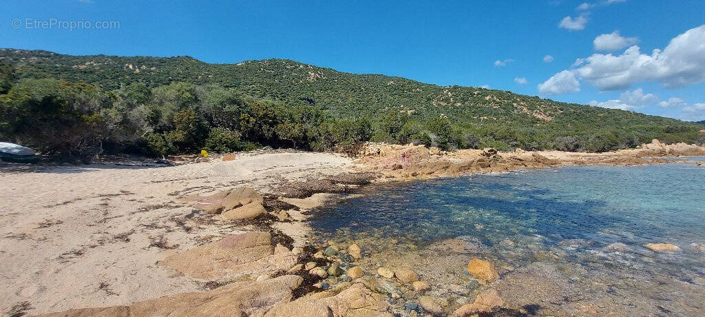 Appartement à COTI-CHIAVARI