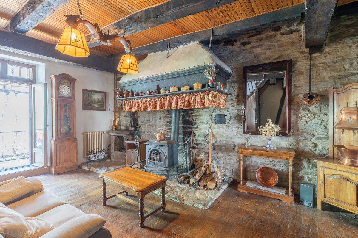 Maison 227 m² Sauveterre-de-Rouergue - Jardin au calme - photo 8