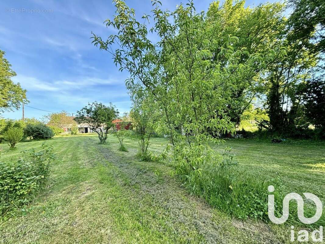 Photo 3 - Maison à NEUILLY-EN-DUN