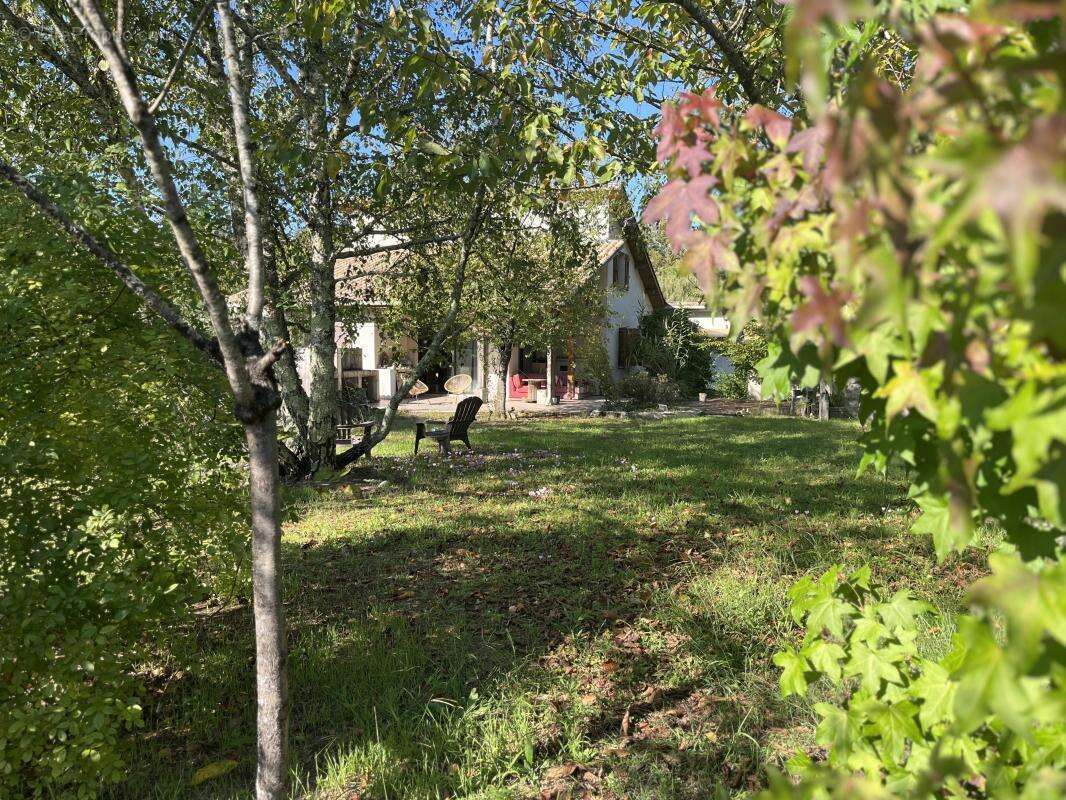 Maison à LE PIAN-MEDOC