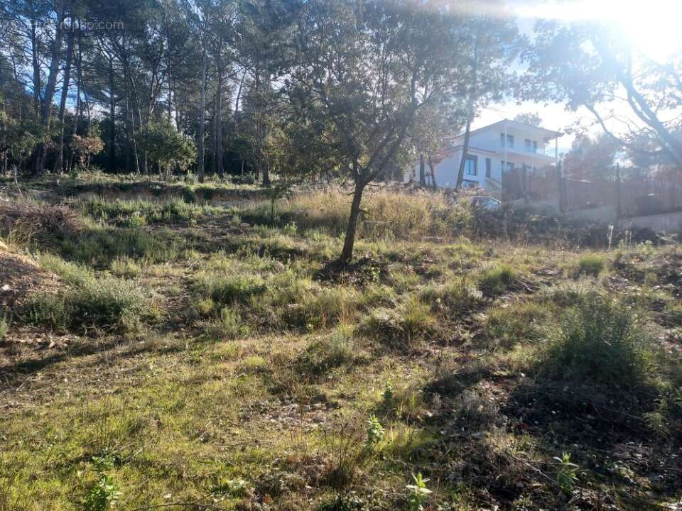 Terrain 850 m² à Rocbaron  - photo 2