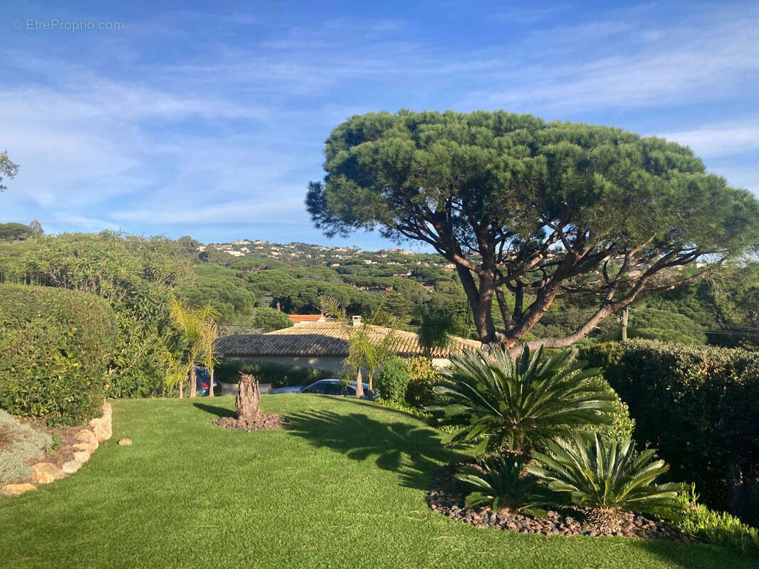 Maison à SAINTE-MAXIME