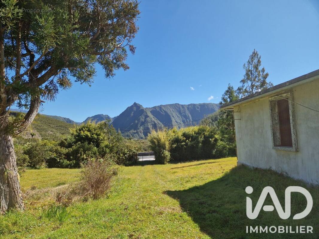 Photo 1 - Maison à LA PLAINE-DES-PALMISTES