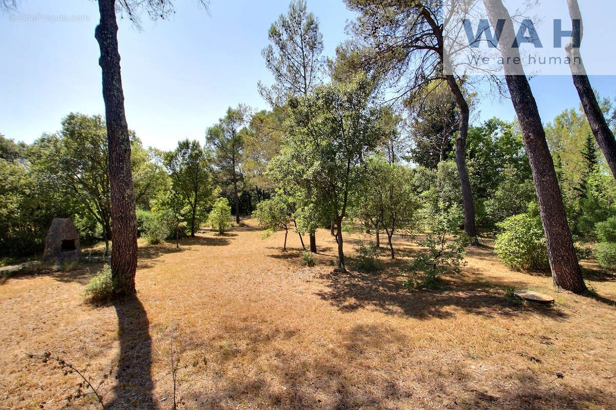 Terrain de loisirs - photo 2