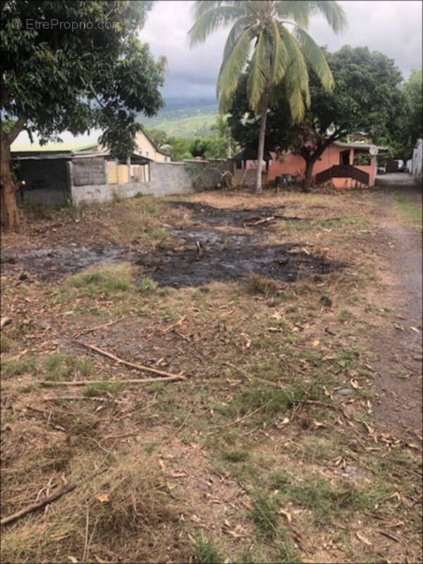 Terrain à SAINT-PAUL