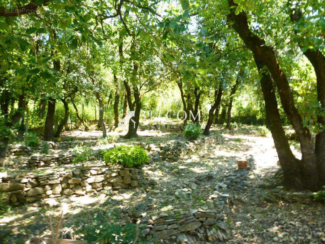 Maison à SAINT-MARTIN-DE-VALGALGUES