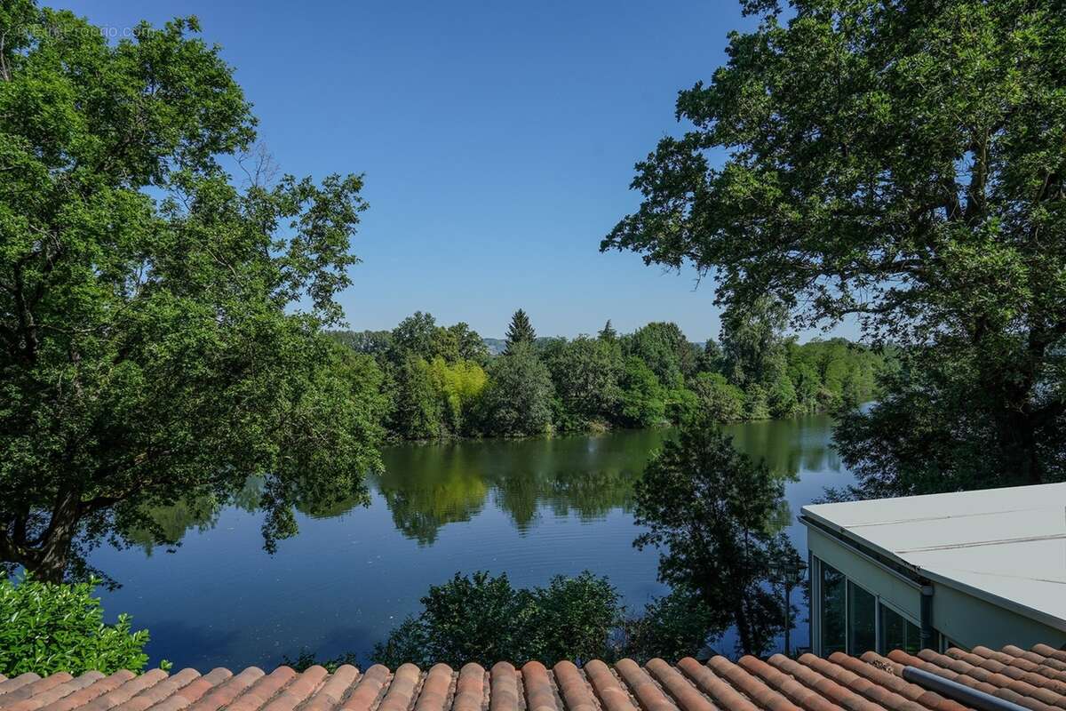 Propriete à vendre 14 pièces SAINTE LIVRADE SUR LOT (47)Sainte-Livrade-sur-Lot – Propriété de caractère à projets multiples en b - photo 2
