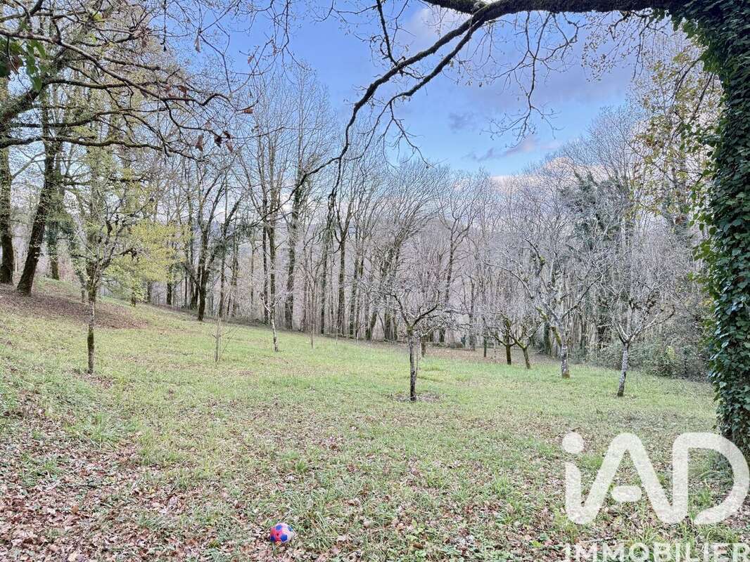 Photo 7 - Maison à SALIGNAC-EYVIGUES