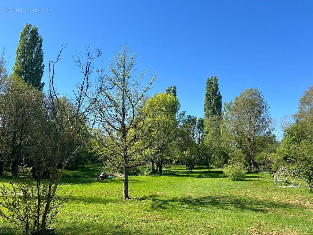 Photo 4 - Maison à SAINT-JEAN-D'ANGELY