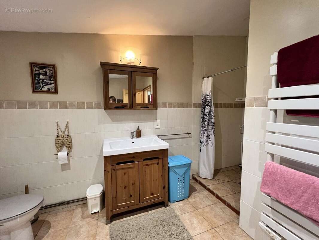 Maison à BOULOGNE-SUR-GESSE