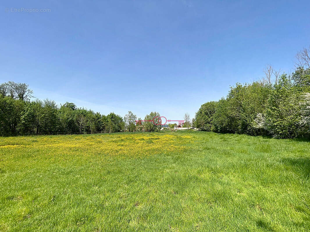 Terrain à SAULT-SAINT-REMY