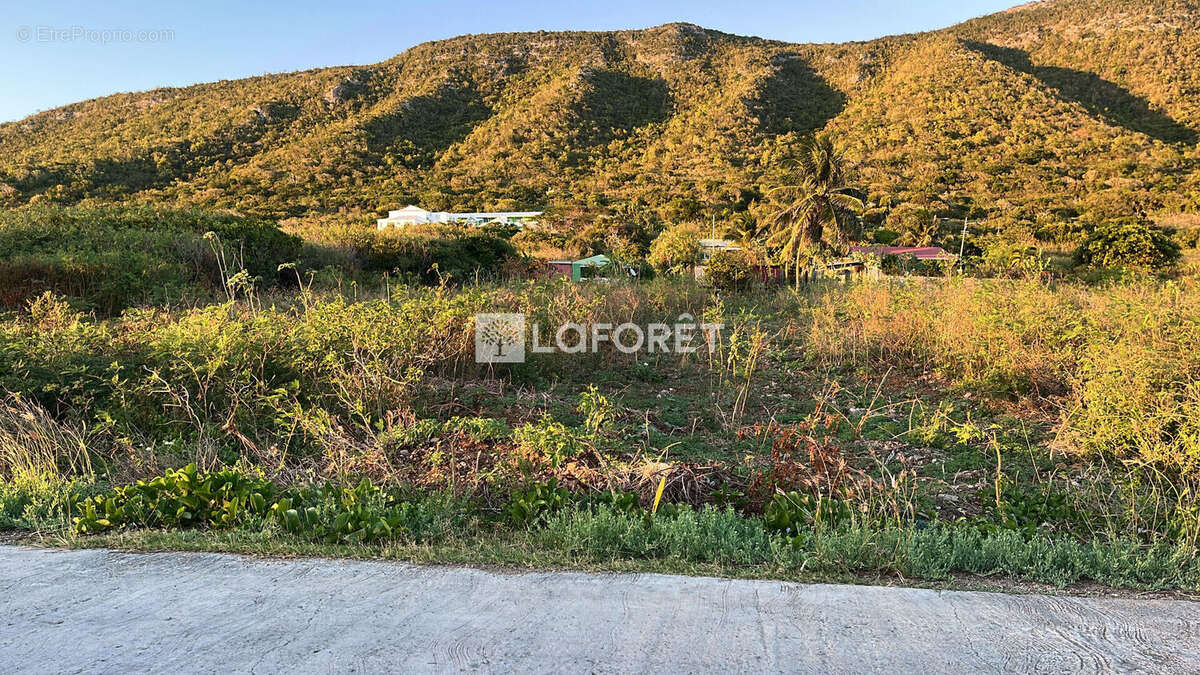 A La Désirade - Un terrain plat de 1240 m²  Une véritable pépite - photo 7
