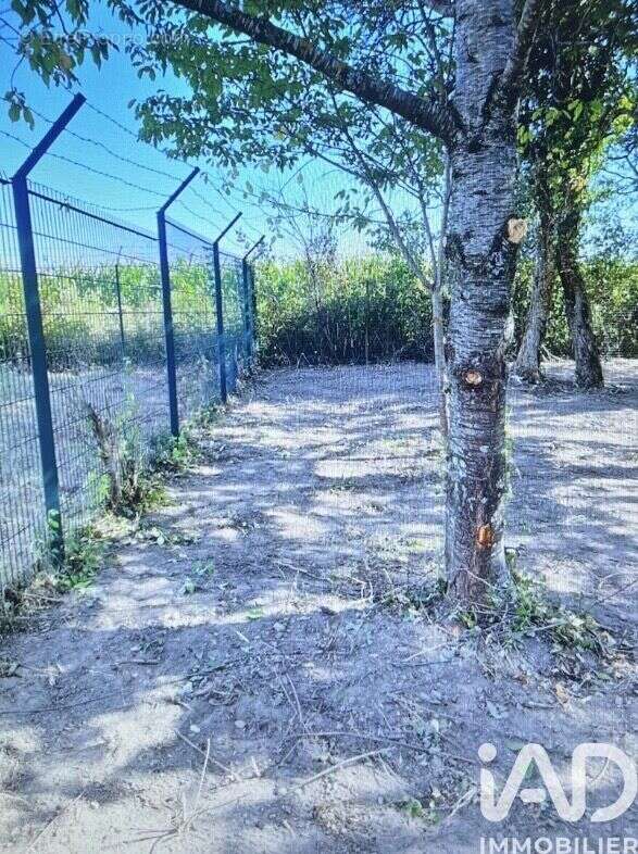 Photo 4 - Terrain à FOUR