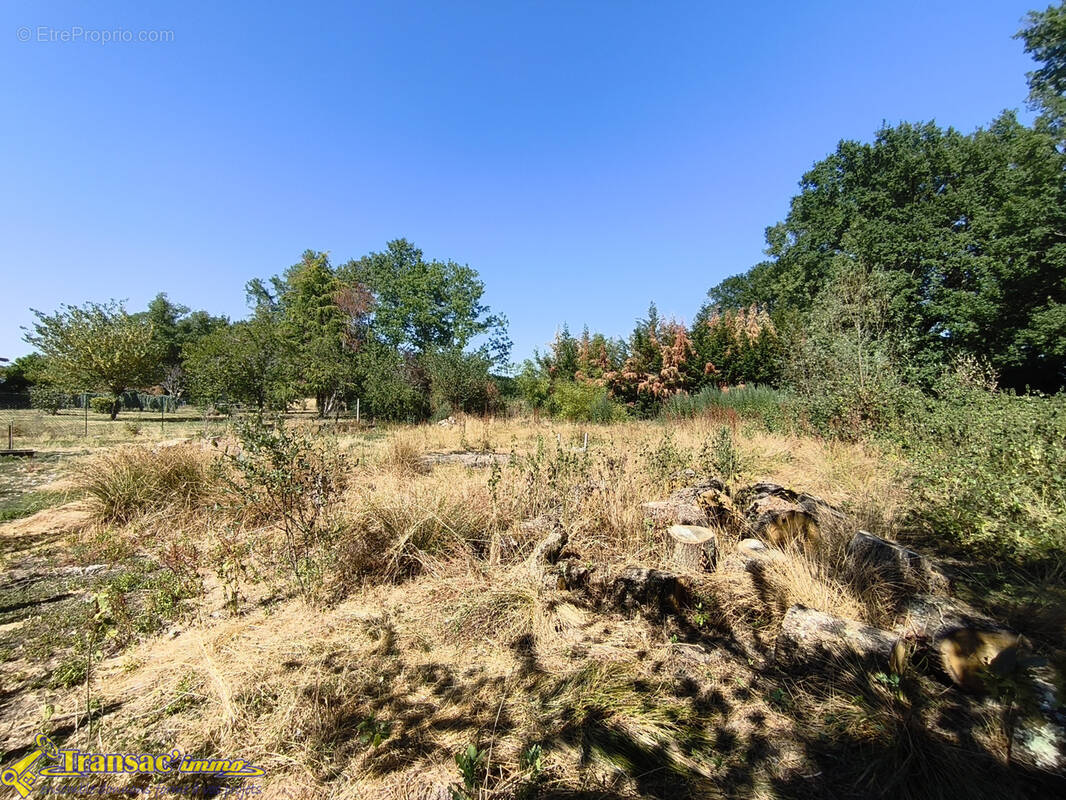 Terrain à ORLEAT