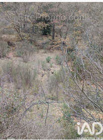 Photo 6 - Terrain à CARAMANY