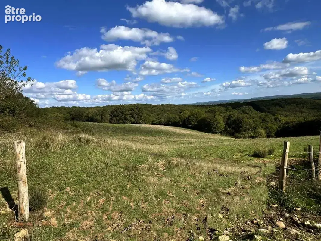 Maison de maître Excideuil 5 pièce(s) 150 m2 et ses 36ha de terres - photo 10