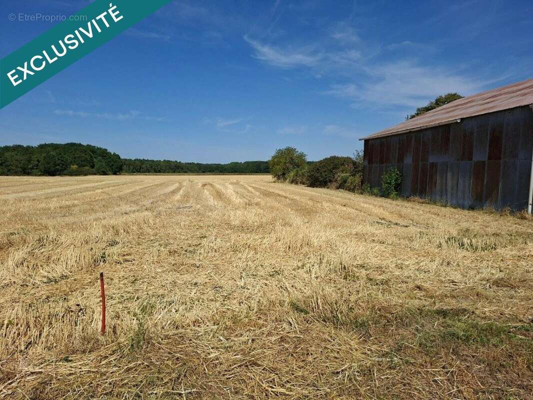 Commerce 225 m² à Santeau  - photo 4