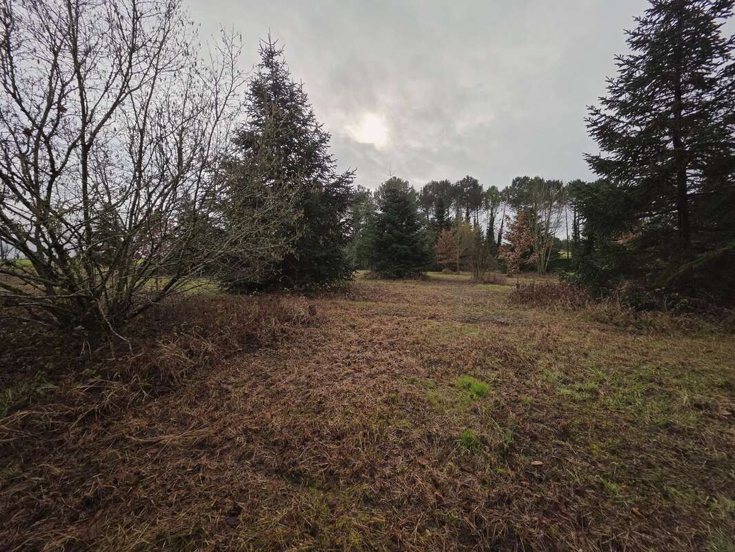 Grand terrain constructible avec certificat d’urbanisme, proche de Monségur - photo 7