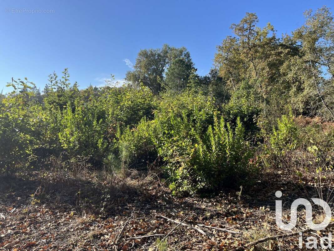 Photo 2 - Terrain à LA BREDE