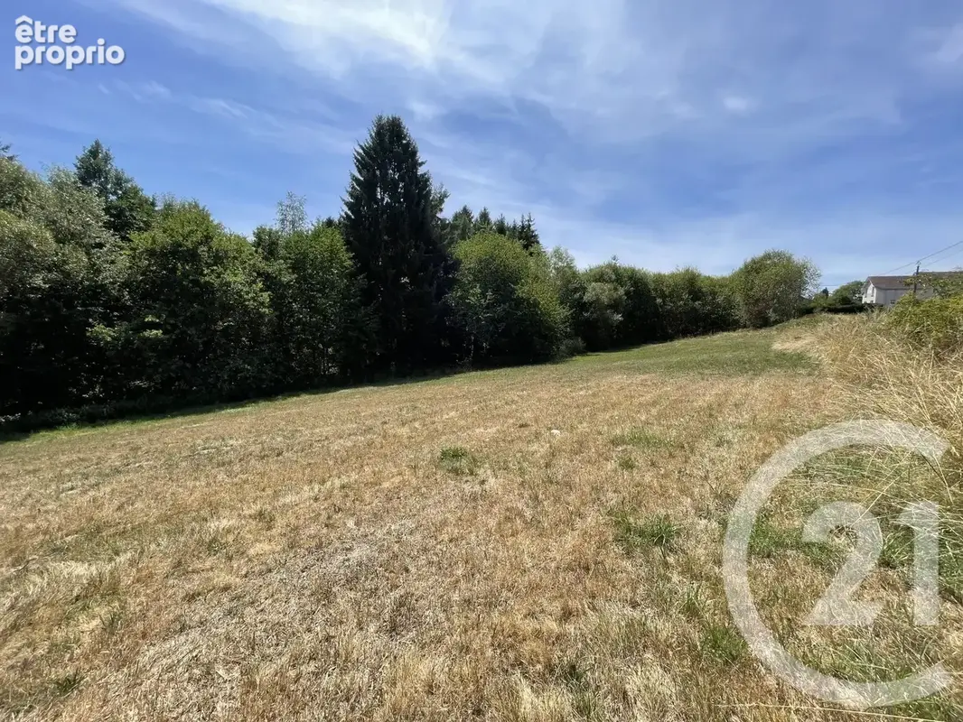 Terrain 1 250 m² à vendre à Hadol (88220) - photo 2