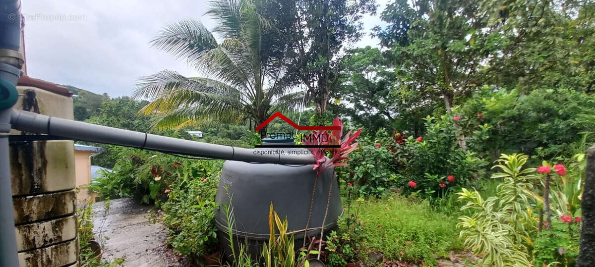 Maison à SAINT-JOSEPH