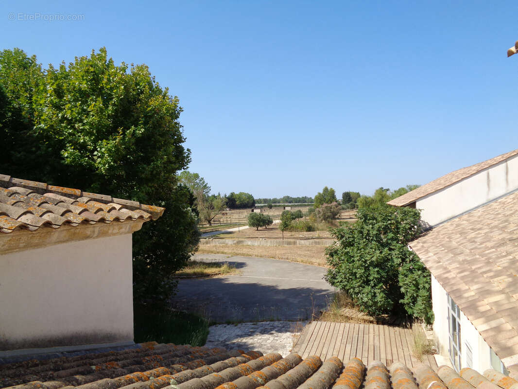 Maison à MONTPELLIER