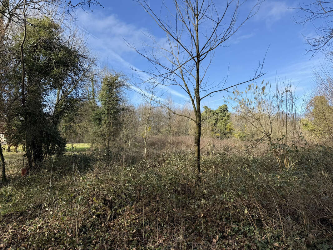 Terrain à SAINT-PHAL