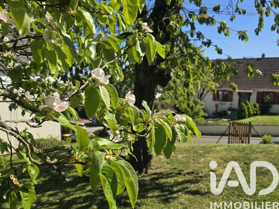 Photo 6 - Terrain à WALTENHEIM-SUR-ZORN