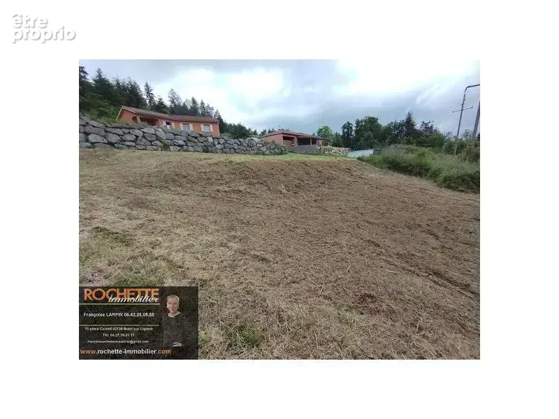 Terrain 1054 m² à Sail-Sous-Couzan  - photo 3