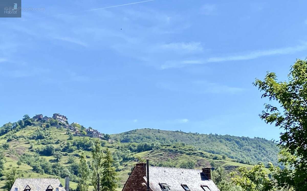 Clairvaux aveyron - photo 8