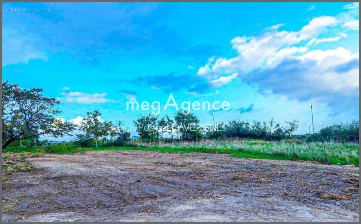 Terrain à SAINT-HILAIRE-DE-RIEZ