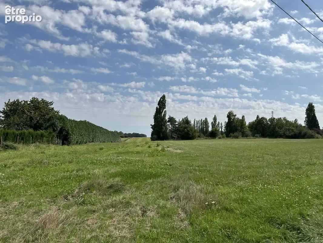 Terrain à VALLERY