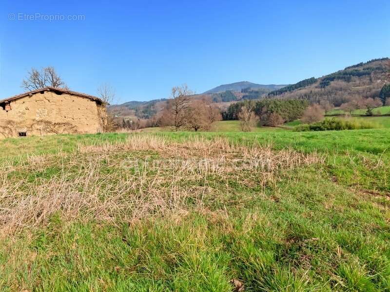 Terrain à AUGEROLLES