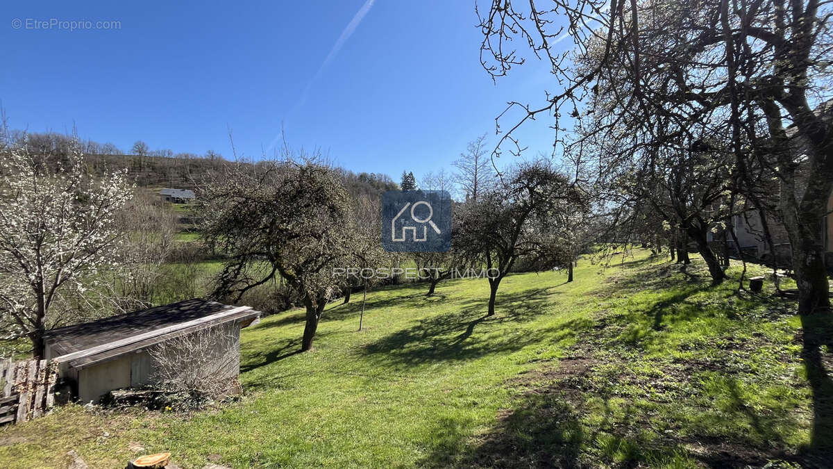 Terrain à BERTHOLENE