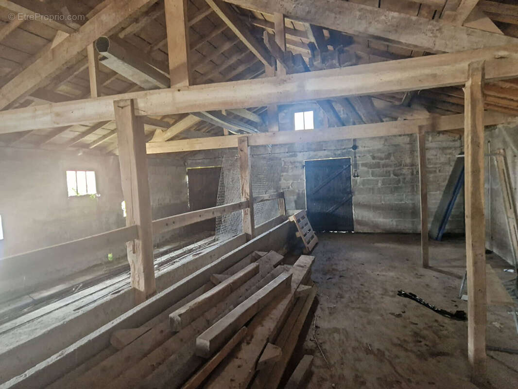 Parking à NOTRE-DAME-DE-MONTS