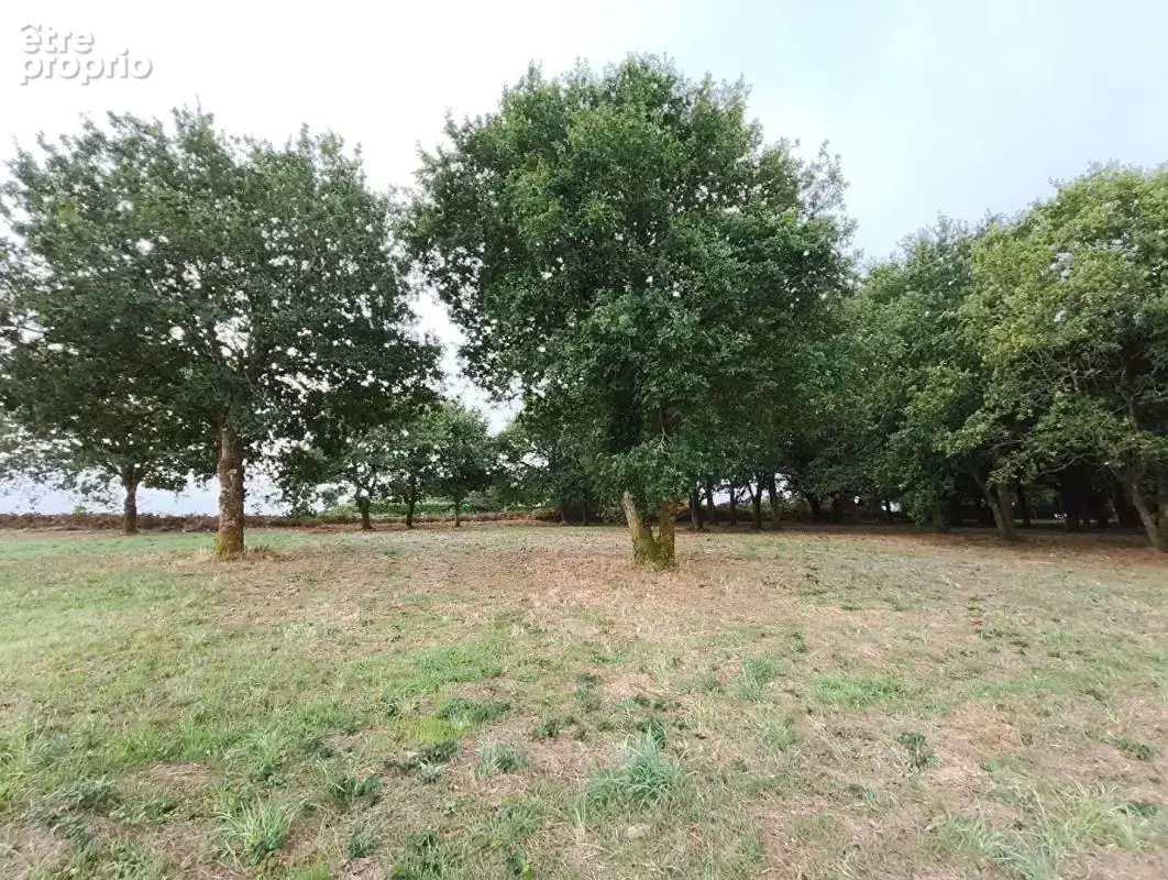 29270 Carhaix terrain constructible à 5 mn du centre ville, au calme - photo 2
