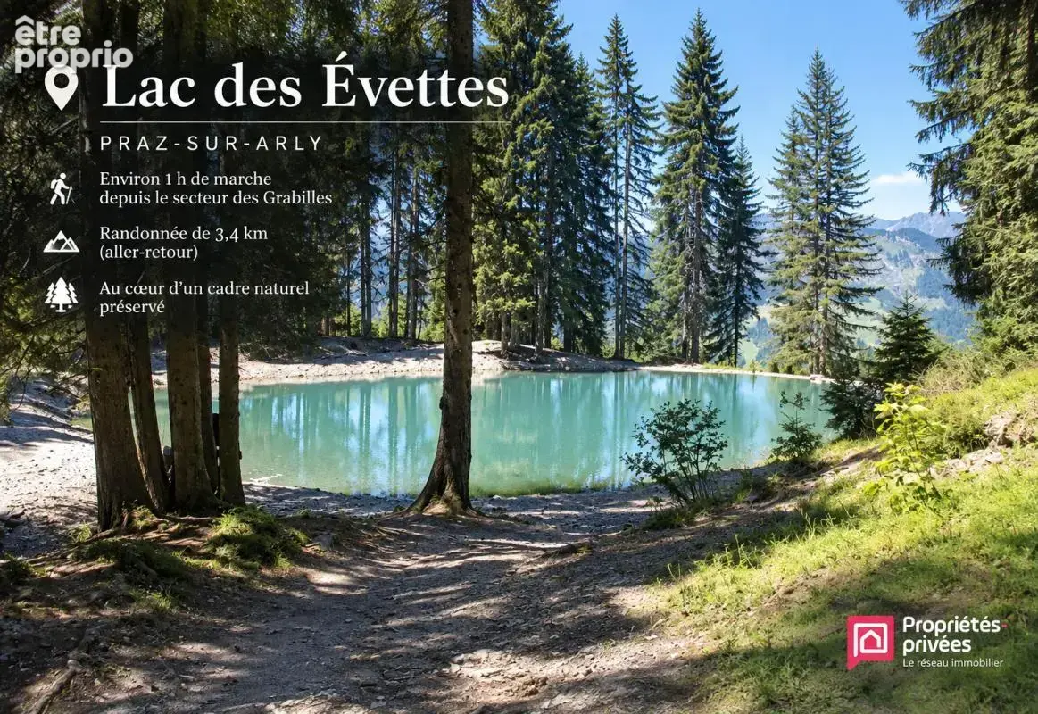 Terrain Praz Sur Arly 888 m2 - photo 6