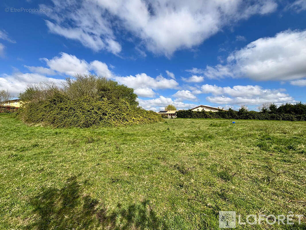 Terrain à AUBIE-ET-ESPESSAS