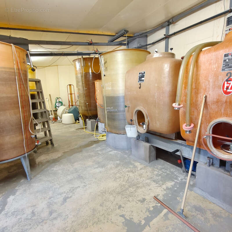 Maison à TOURREILLES