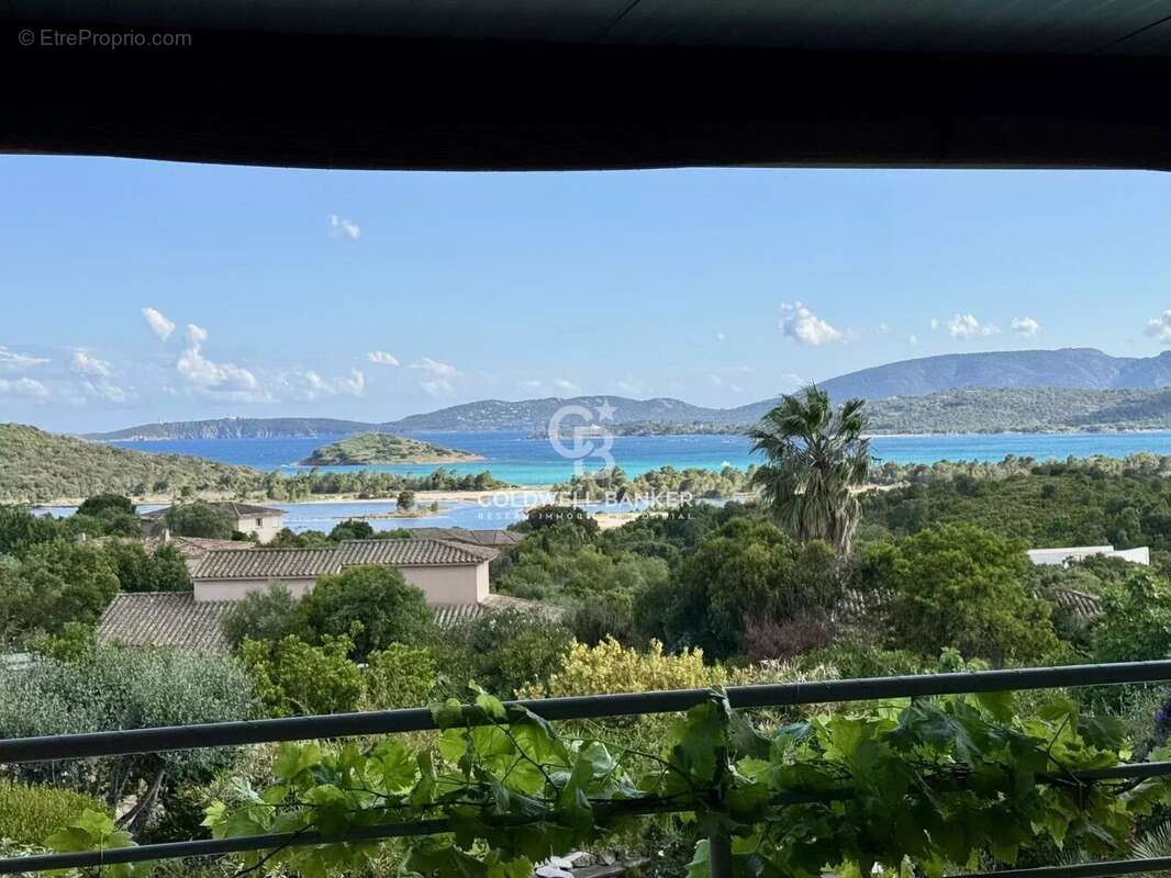 Maison à PORTO-VECCHIO