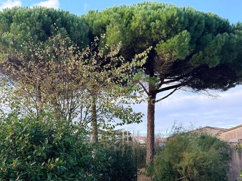 Terrain à LE BOIS-PLAGE-EN-RE